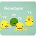Genotype and Phenotype Video