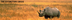 The Extinction Crisis