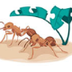 Ant Factoids | ASU - Ask A Bio