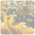 Natuur en boek