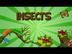 Insects | Educational Videos f