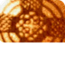 L'EVANGELI D'AVUI