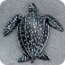 Leatherback Sea Turtles, Leath