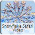 Snowflake Safari - Science Fri