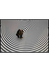 Vertigo, perdida de equilibrio