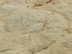 Geoparques- Las Subbéticas