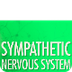 Sympathetic Nervous System: Cr