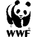 Red Panda | Species | WWF