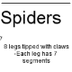 Spiders- EnchantedLearning.com