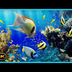 The Best 4K Aquarium for Relax
