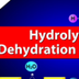 Hydrolysis and synthesis