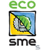 Eco SMEs - Services for green 