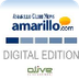 Amarillo News Globe