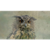 Schooltv: Welk dier kan het be