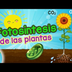 La Fotosintesis de las Plantas