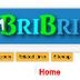 Team BriBri - EDTEC670