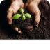 4th Grade Soil Web Quest