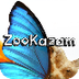 ZooKazam - iPhone