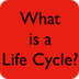 Life Cycles - Symbaloo