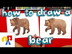 How To Draw A Grizzly Bear (re