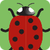 Ladybug Counting