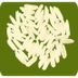 Free Rice Vocabulary