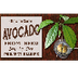 ★ How to: Grow Avocado from Se