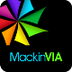 MackinVIA Ebooks