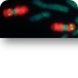 Home - Gene - NCBI