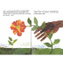 The Tiny Seed by Eric Carle 