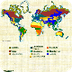 World Biomes - map
