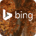Bing