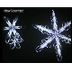 Six-sided snowflakes bloom in 