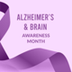 June - Alzheimer’s & Brain