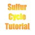 Sulfur Cycle Tutorial