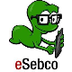 eSebco Library Site