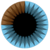 3Blue1Brown
