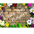 I Like the Flowers