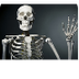 Bones