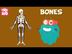 Bones | The Dr. Binocs Show |