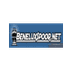beneluxspoor.net
