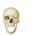 WinkingSkull