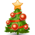 Christmas Common Words