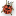 Lost Ladybug Project