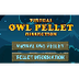 Virtual Owl Pellet Dissection