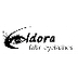 Eldora False Eyelashes