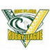 Rugby League World Cup 2013