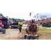 Tree Removal & Tree Cutting Se