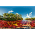 Recursos Naturales - Informaci