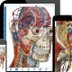 Visible Body | 3D Human Anatom